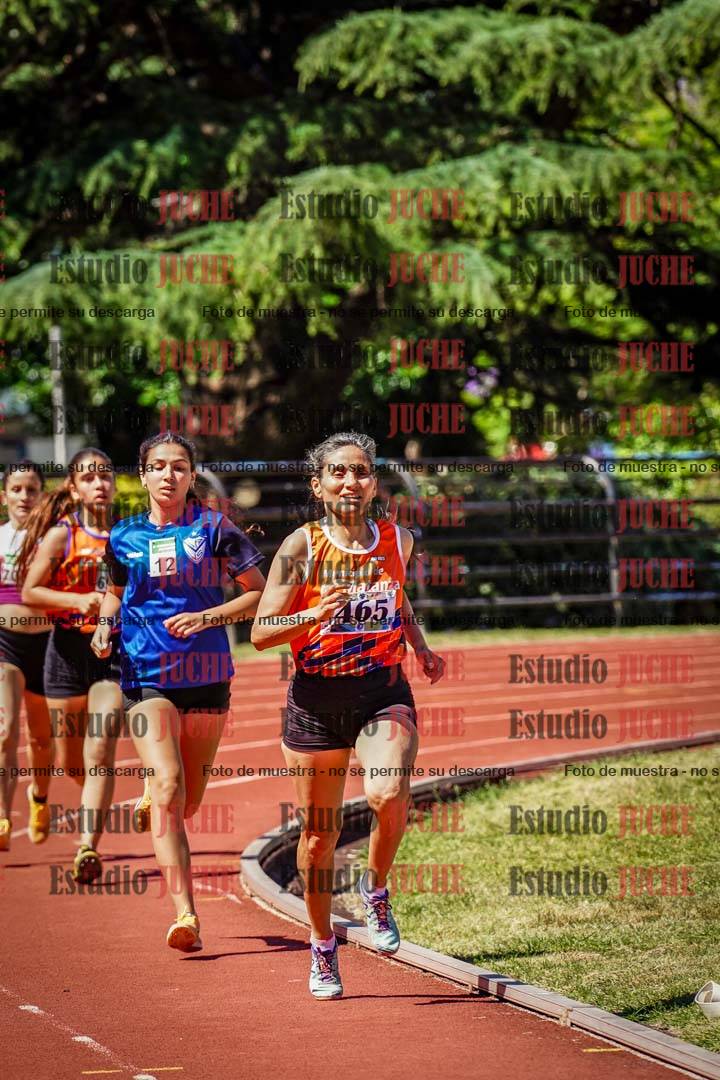 Fotos de los 800 m llanos de mujeres