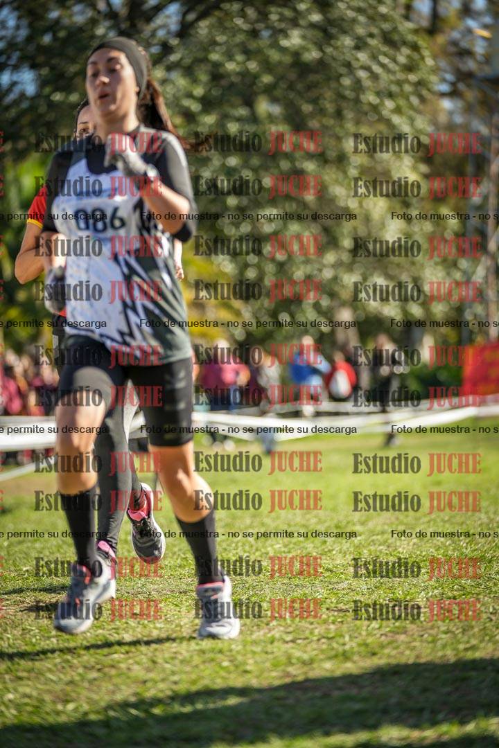 Fotos de la llegada del cross de 6000 m