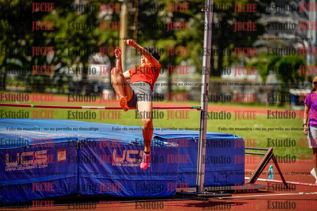 Fotos del salto en alto