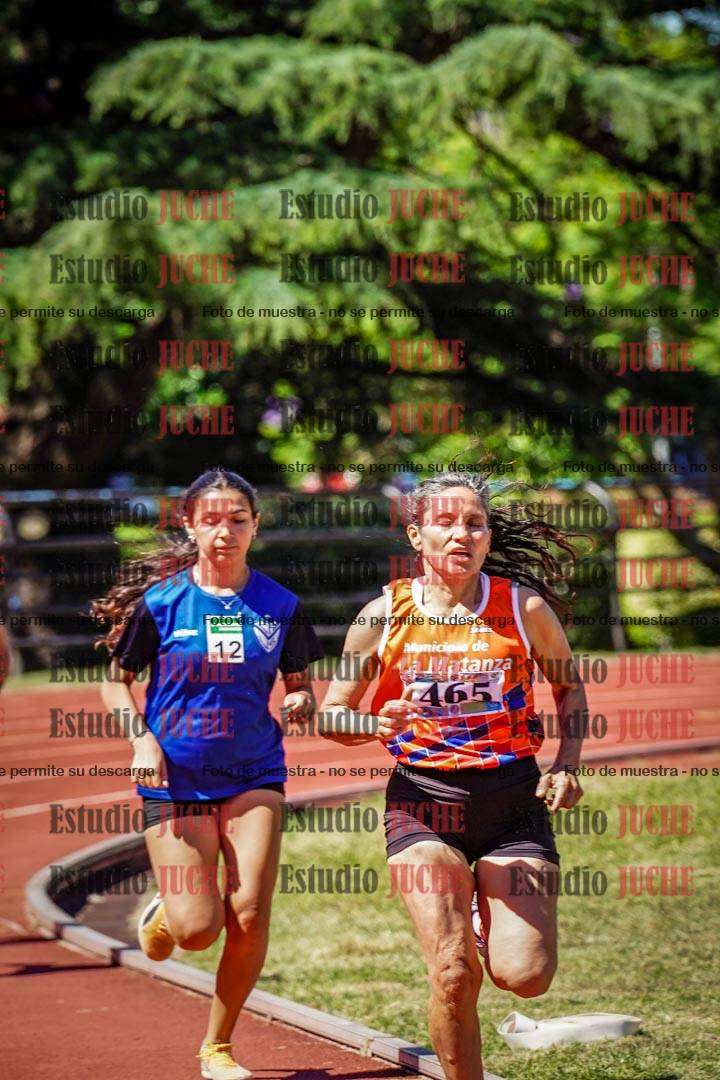 Fotos de los 800 m llanos de mujeres