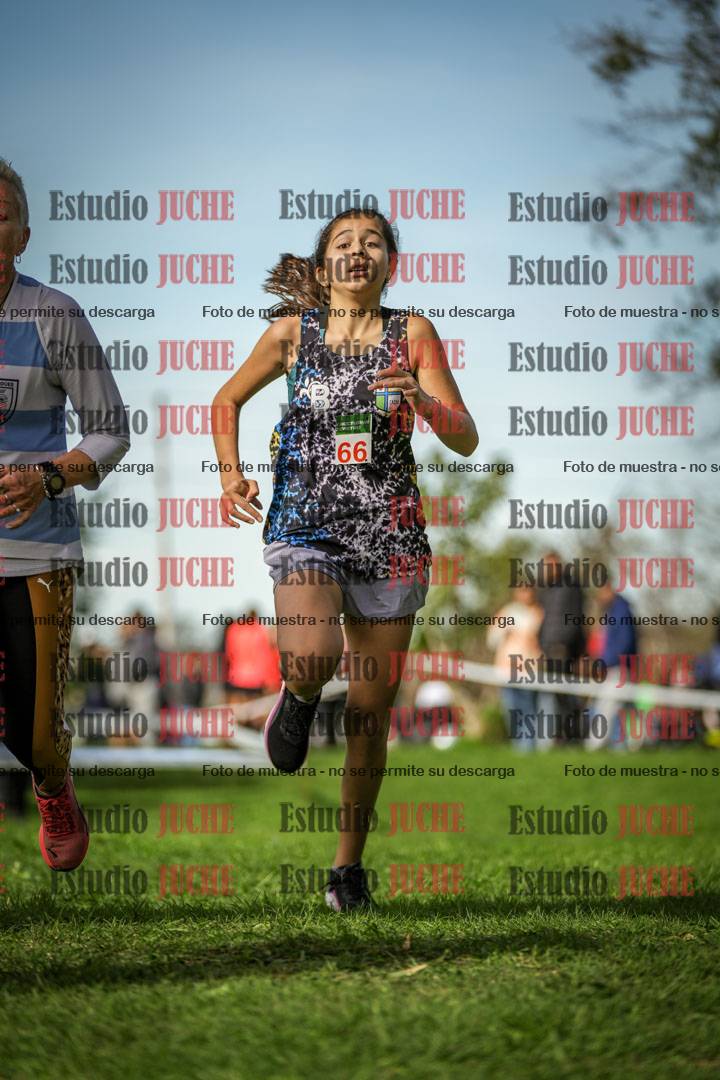 Fotos de la llegada del cross de 1500 m