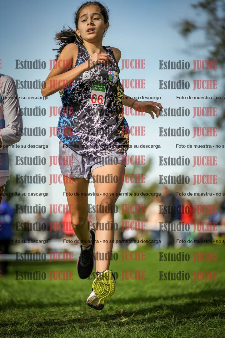 Fotos de la llegada del cross de 1500 m