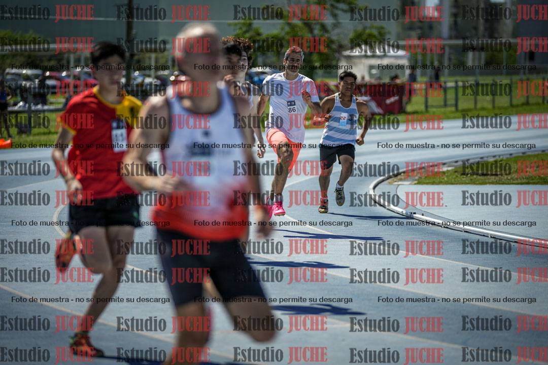 Fotos de los 800 m llanos de varones
