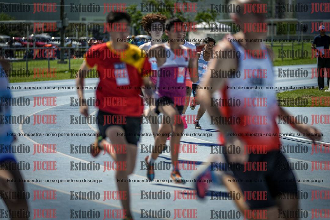 Fotos de los 800 m llanos de varones
