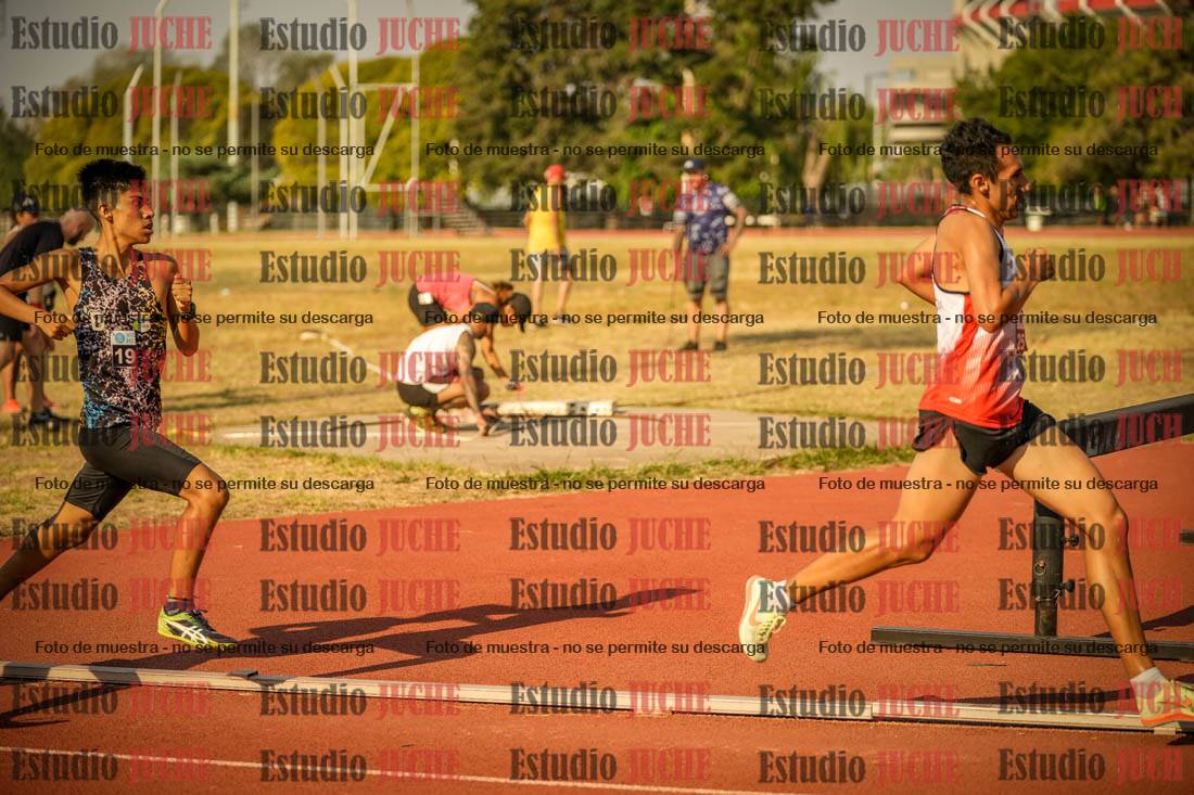 Fotos de los 1500 m llanos de varones