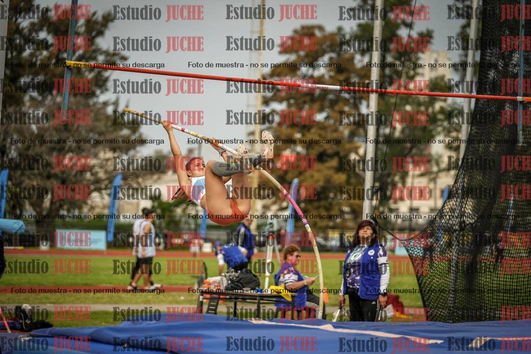 Fotos del salto con garrocha de mujeres