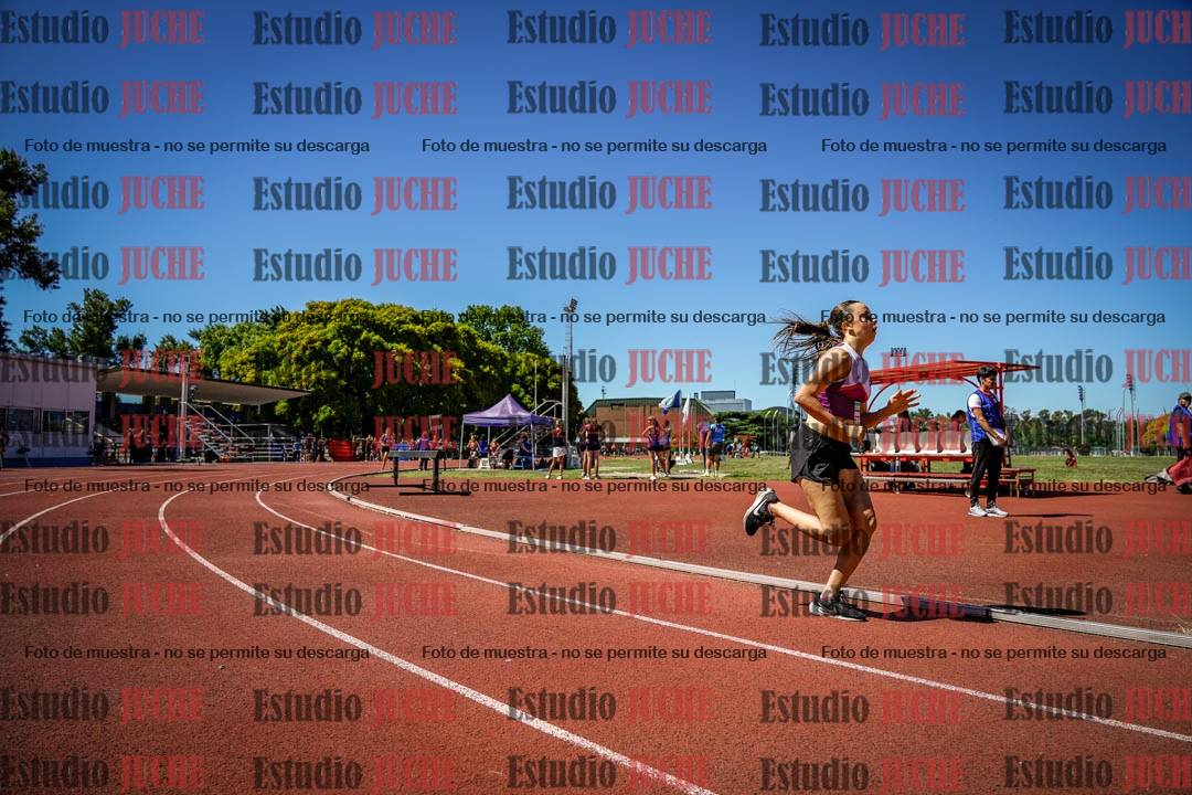 Fotos de los 800 m llanos de mujeres