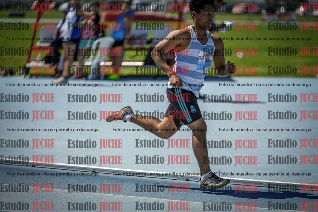 Fotos de los 800 m llanos de varones