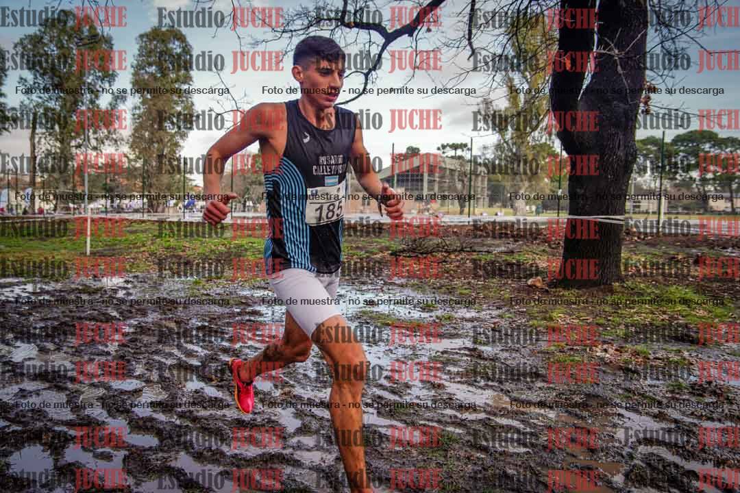 Fotos en el circuito