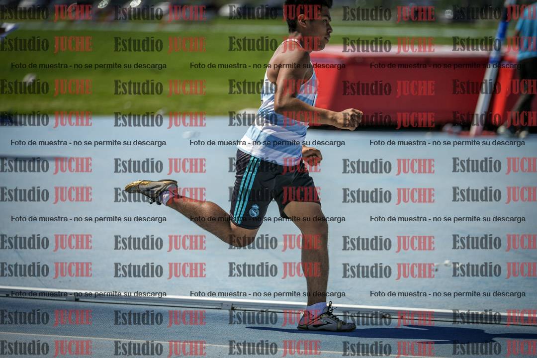 Fotos de los 800 m llanos de varones