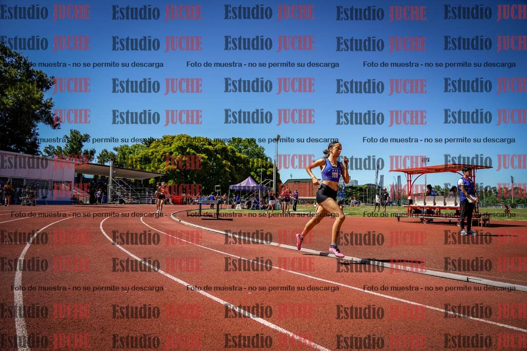 Fotos de los 800 m llanos de mujeres