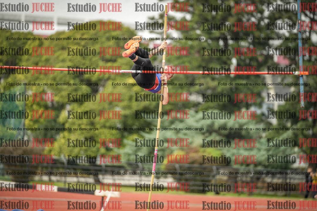 Fotos del salto con garrocha de mujeres
