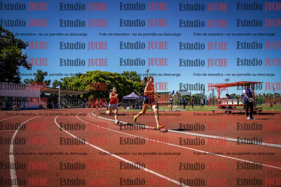 Fotos de los 800 m llanos de mujeres