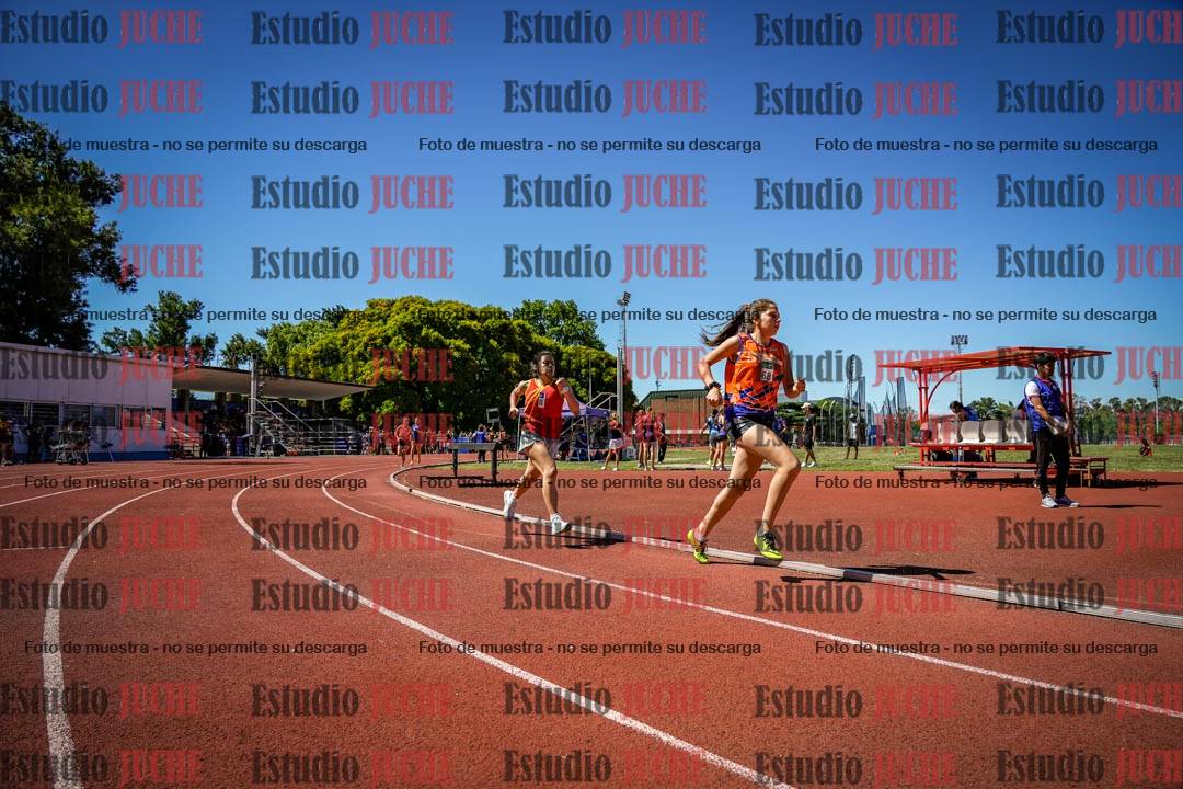Fotos de los 800 m llanos de mujeres