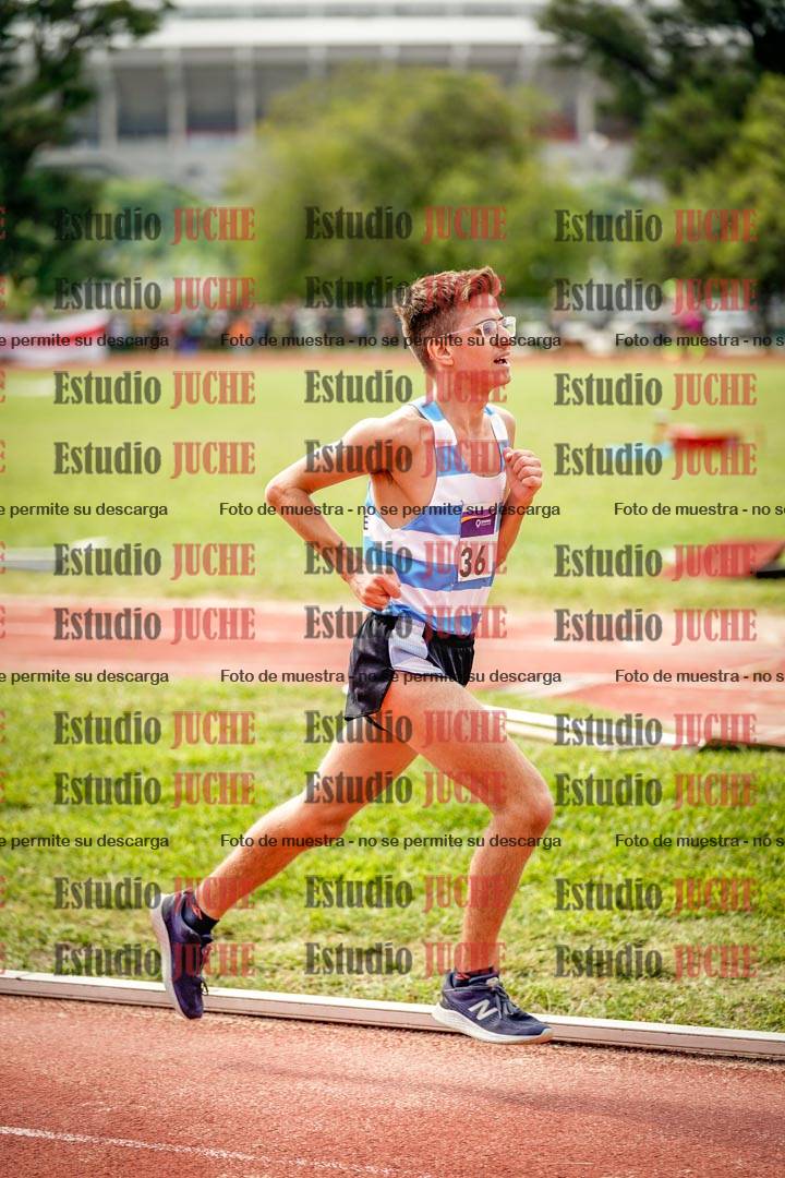 Fotos de los 3000 m llanos de varones