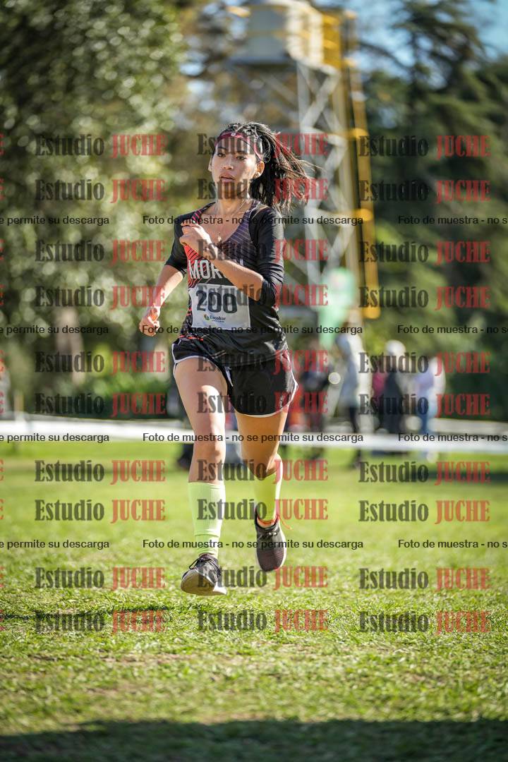 Fotos de la llegada del cross de 6000 m