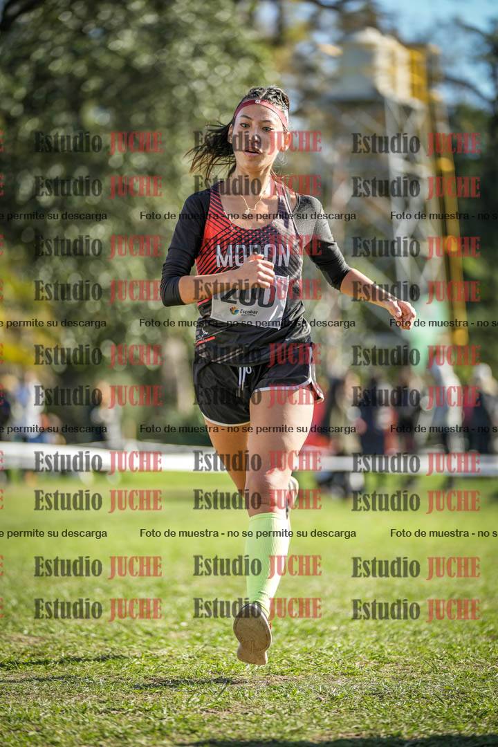 Fotos de la llegada del cross de 6000 m