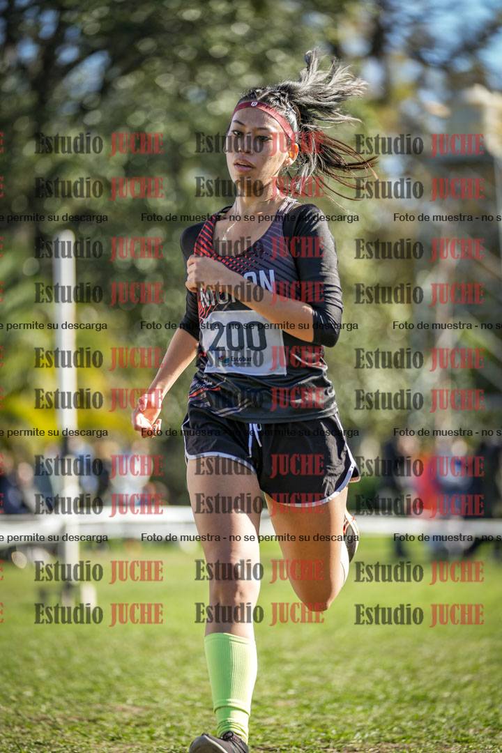 Fotos de la llegada del cross de 6000 m