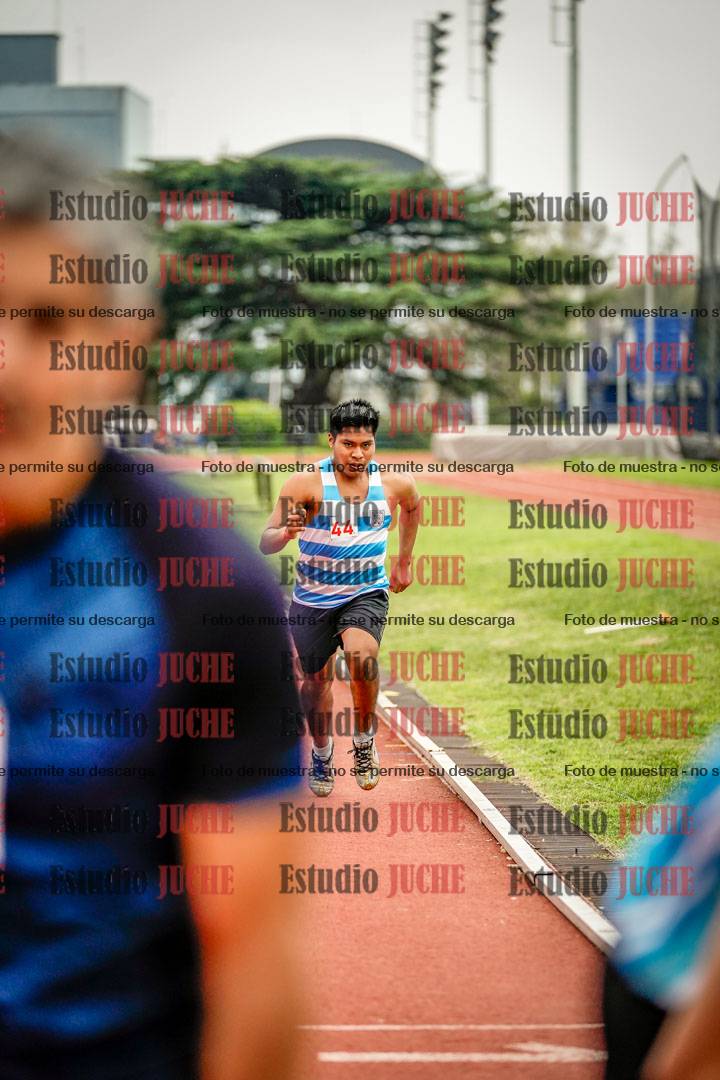 Fotos de los 800 m llanos de varones