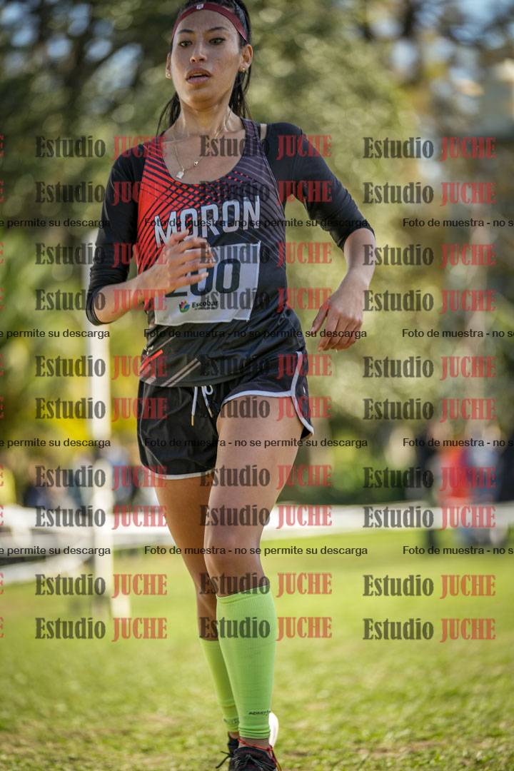 Fotos de la llegada del cross de 6000 m