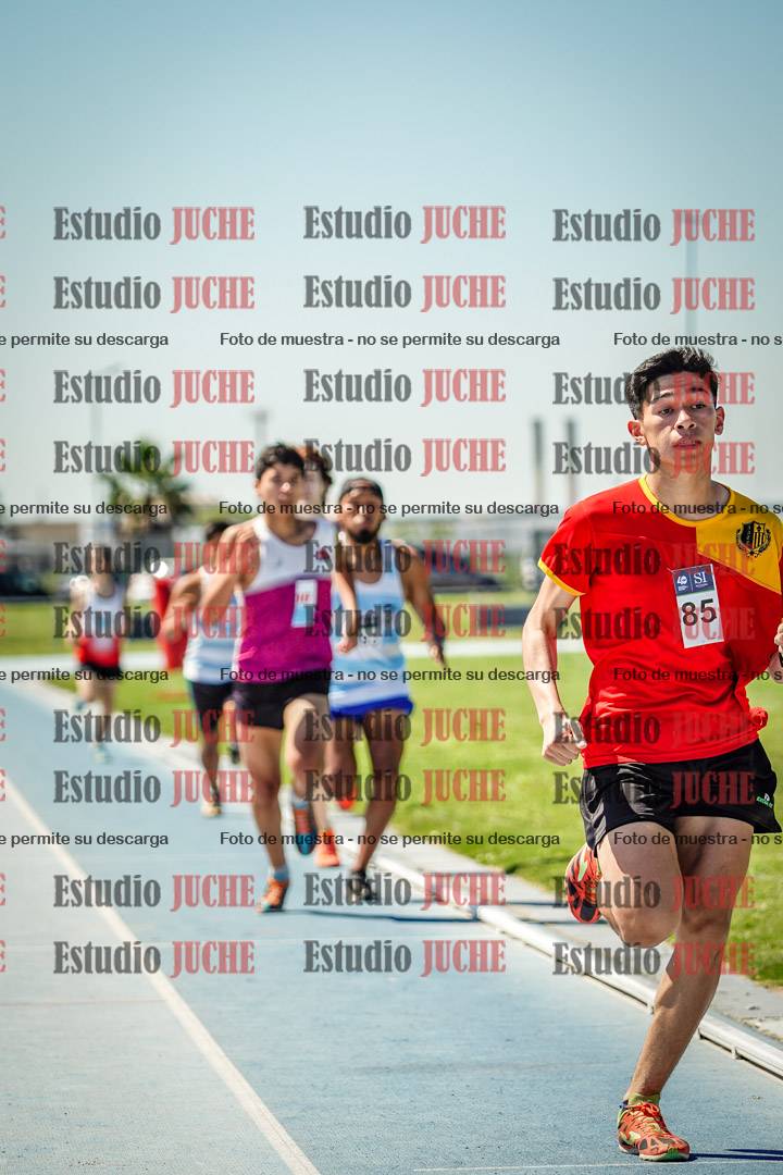 Fotos de los 800 m llanos de varones