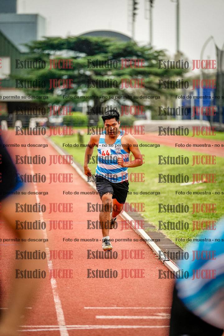 Fotos de los 800 m llanos de varones