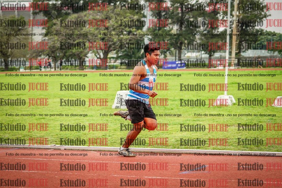 Fotos de los 800 m llanos de varones