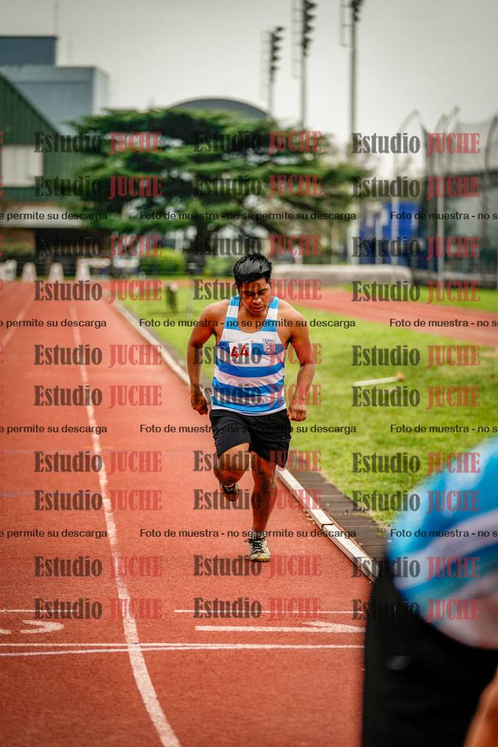 Fotos de los 800 m llanos de varones