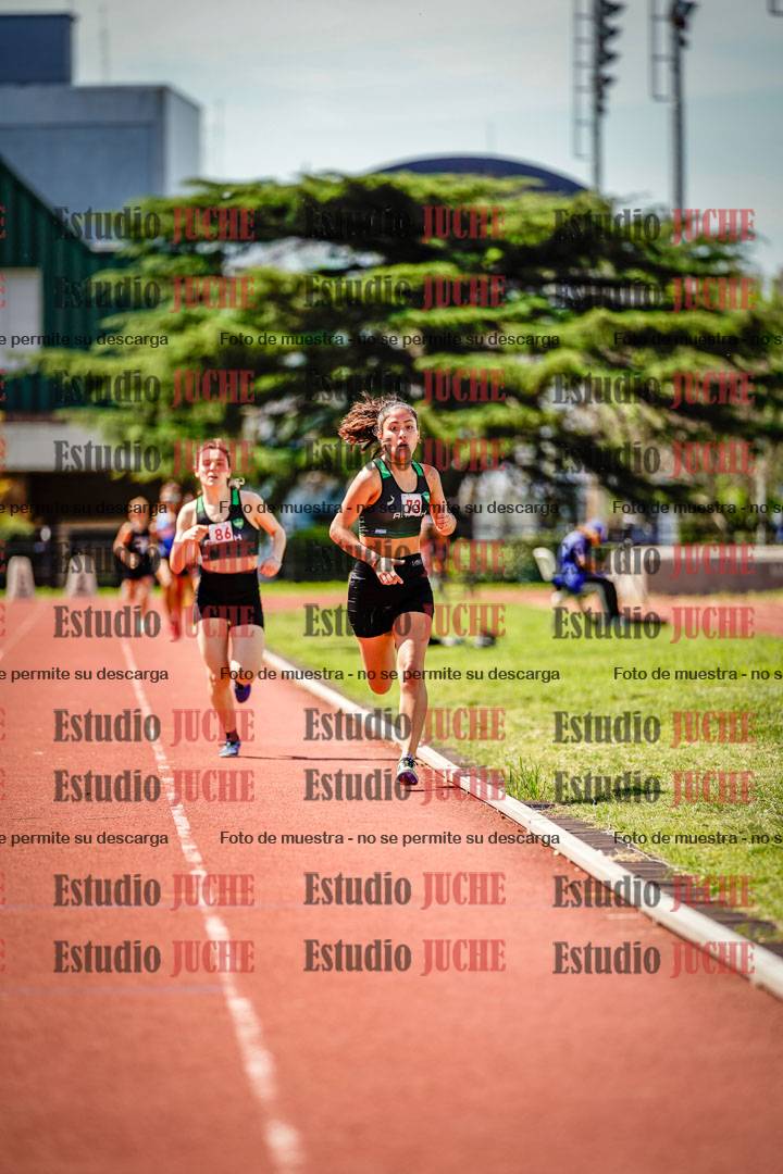 Fotos de los 800 m llanos de mujeres