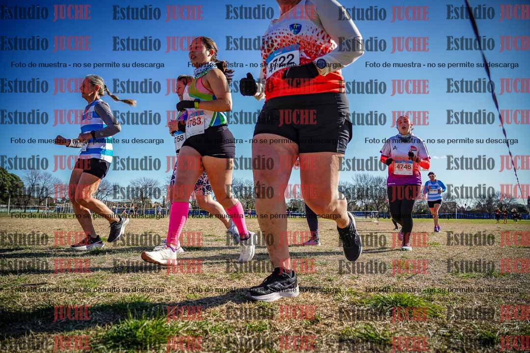Fotos en el circuito
