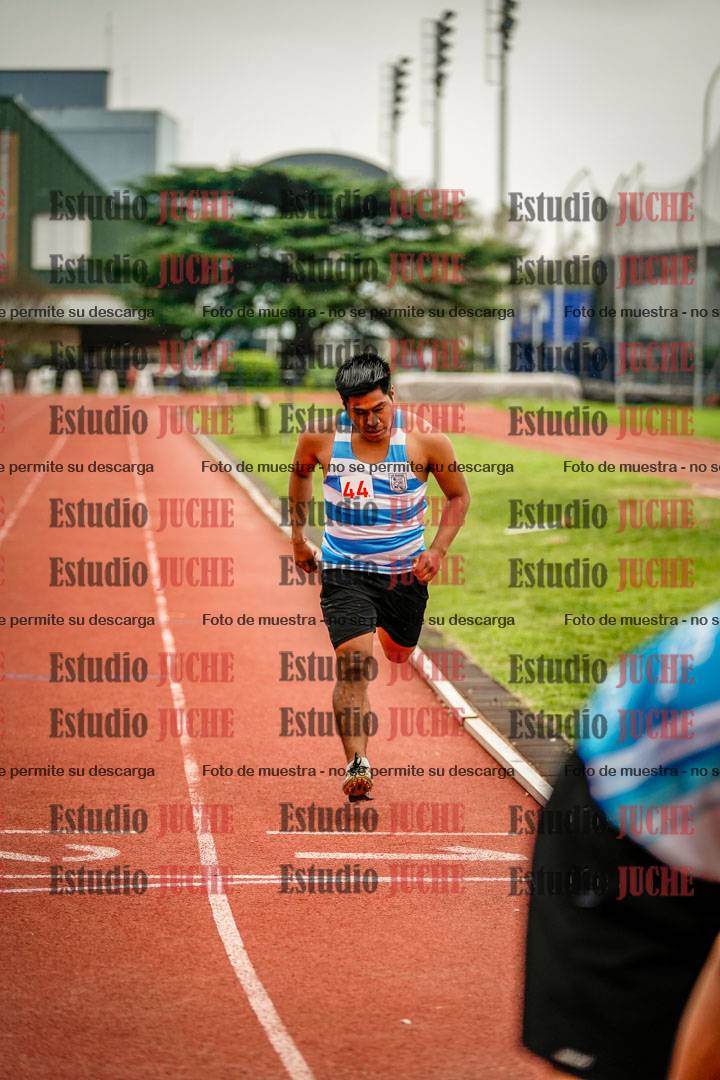 Fotos de los 800 m llanos de varones