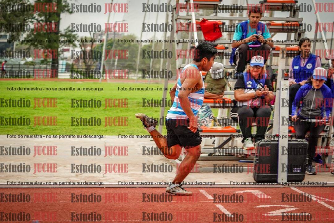 Fotos de los 800 m llanos de varones