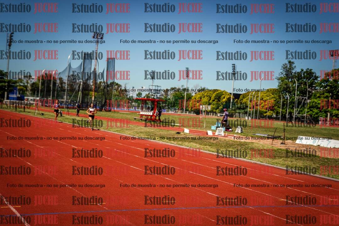 Fotos de los 800 m llanos de mujeres