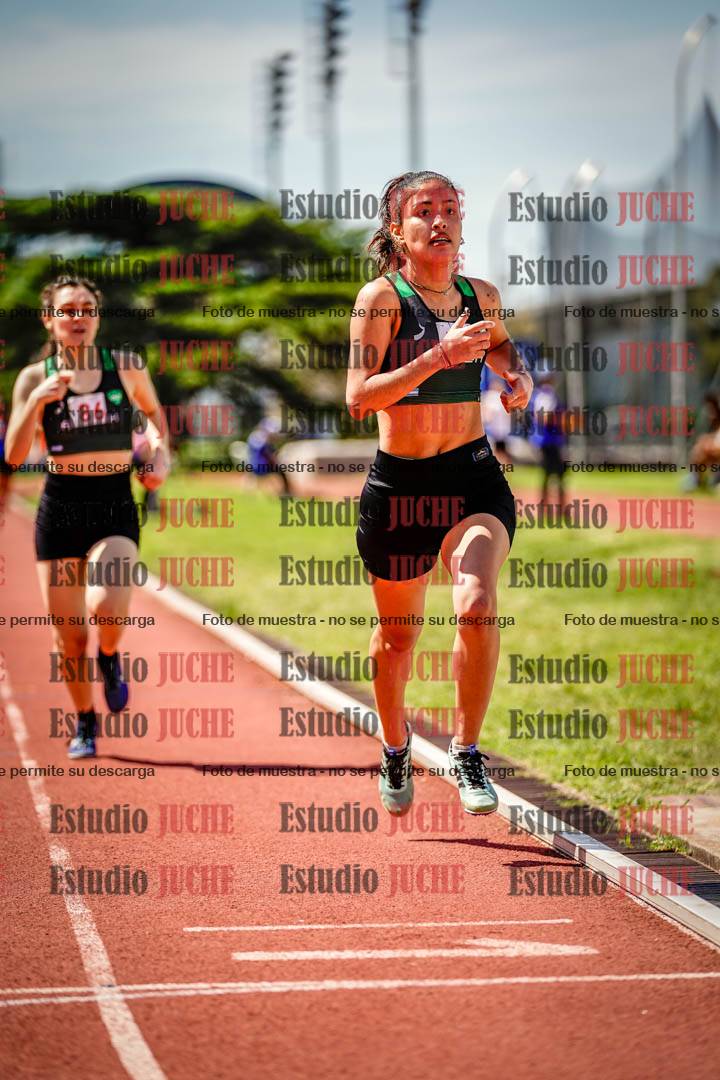 Fotos de los 800 m llanos de mujeres