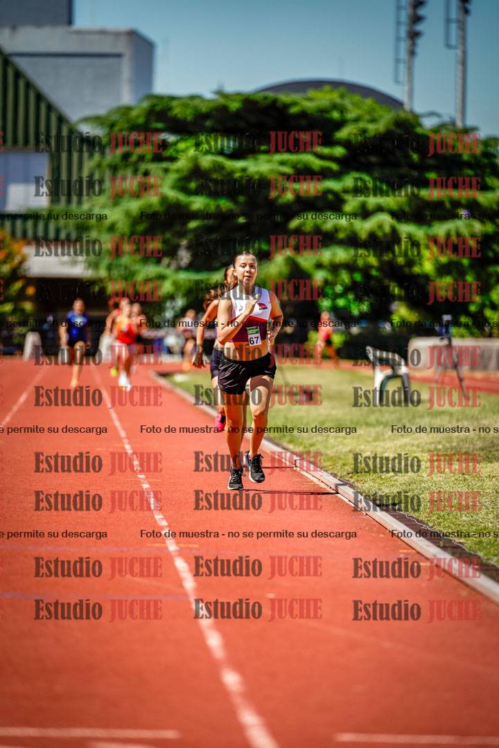 Fotos de los 800 m llanos de mujeres