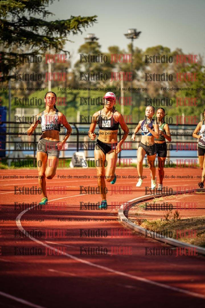 Fotos de los 800 m llanos de mujeres