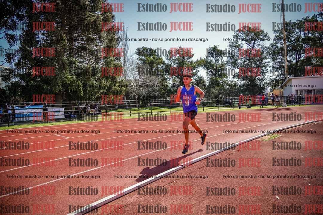 Fotos de los 1500 m llanos de varones