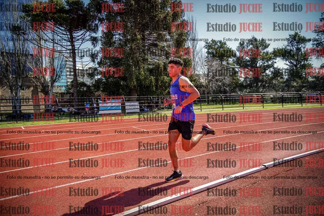Fotos de los 1500 m llanos de varones
