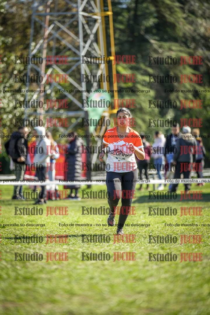 Fotos de la llegada del cross de 6000 m