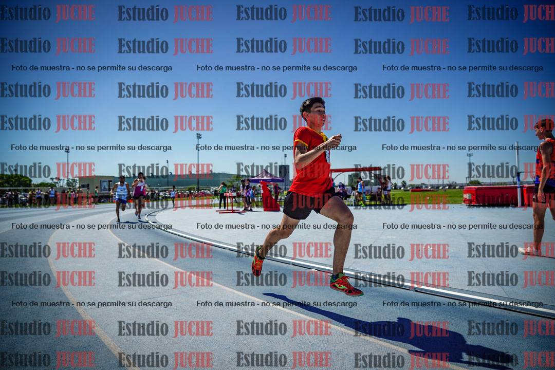 Fotos de los 800 m llanos de varones
