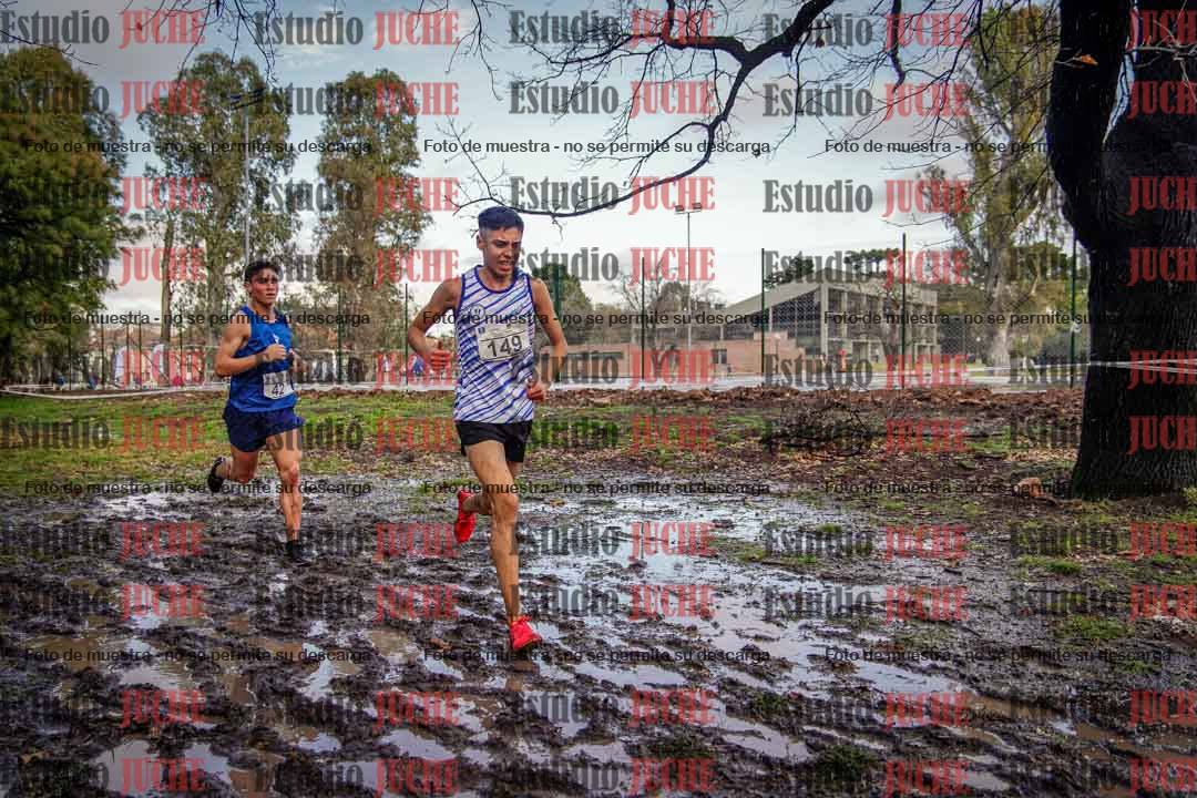 Fotos en el circuito
