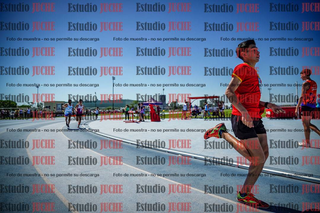 Fotos de los 800 m llanos de varones