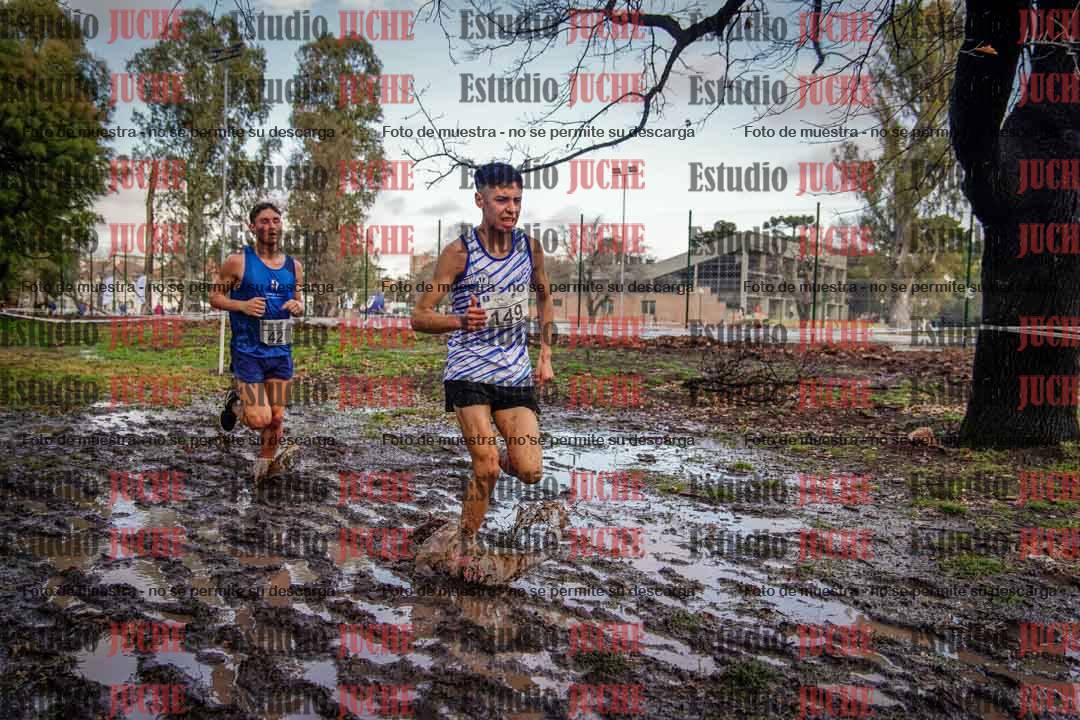 Fotos en el circuito