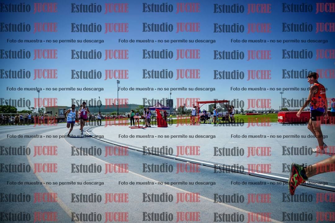 Fotos de los 800 m llanos de varones