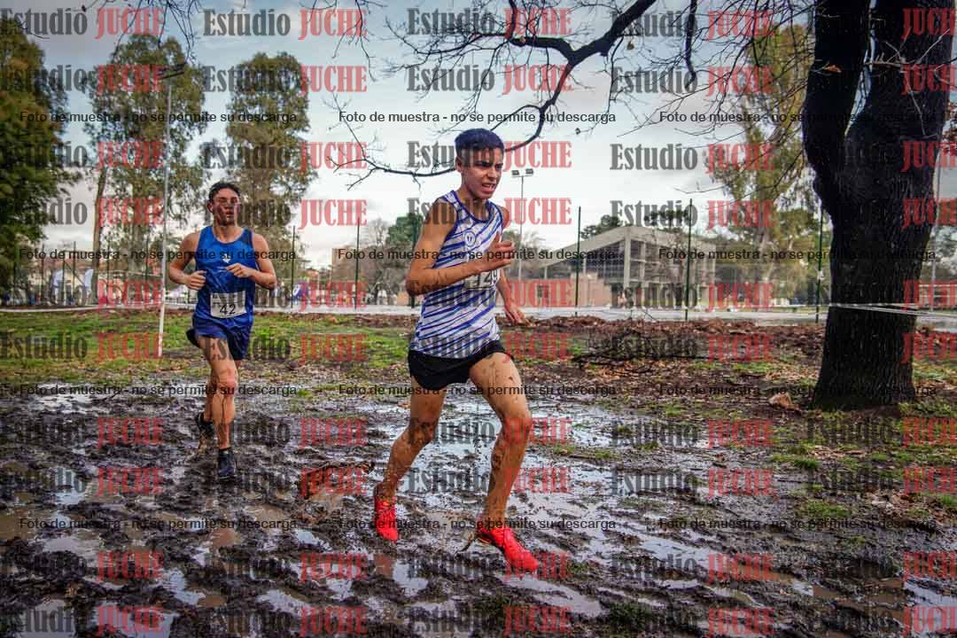 Fotos en el circuito