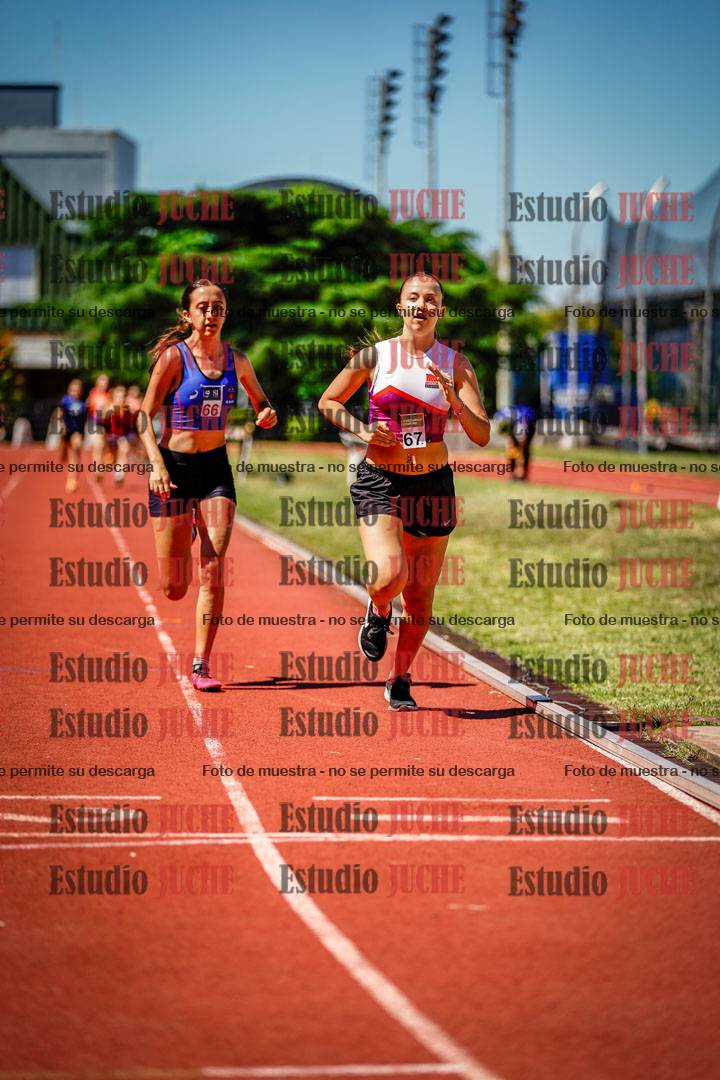 Fotos de los 800 m llanos de mujeres