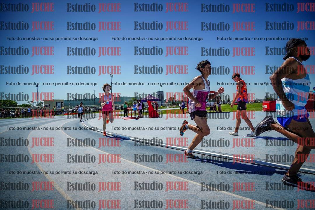 Fotos de los 800 m llanos de varones