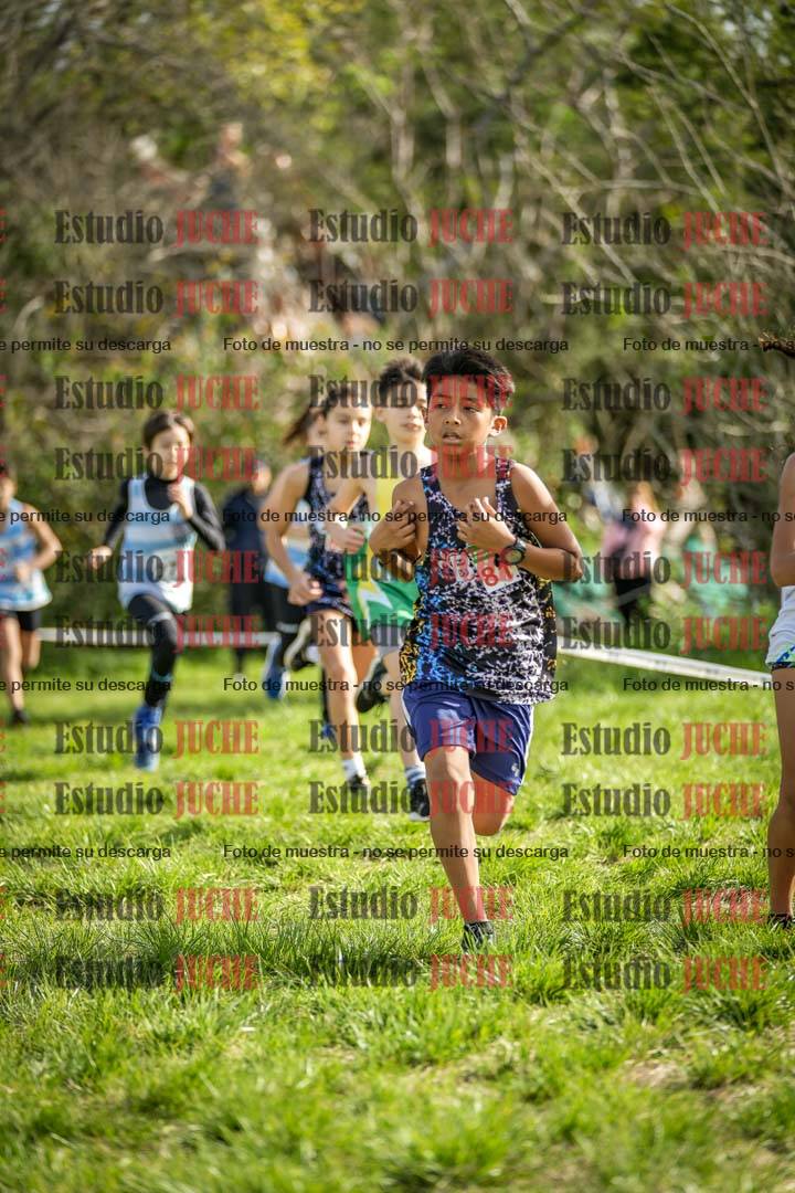 Fotos en el circuito