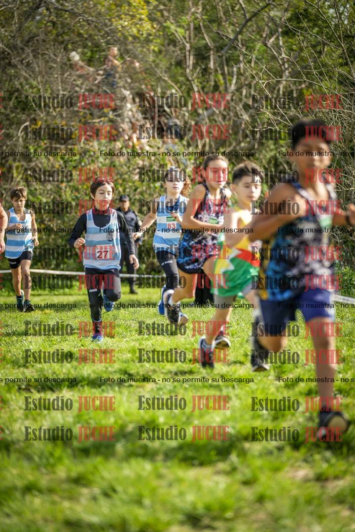 Fotos en el circuito