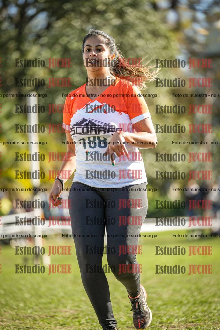 Fotos de la llegada del cross de 6000 m